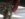 C6D46D38-DC89-4C12-80E2-C8D385BB87DB.jpeg