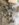 329F0DCE-0E67-4650-959C-D212B12E084A.jpeg