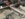 C1CD651C-4E94-46CF-8A86-8563E112B05B.jpeg