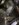 26BC7FB5-598D-4522-9ADB-1233DF1DB638.jpeg