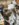 366B074F-CD0B-4D18-8E57-2FA2621B4689.jpeg