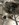 863EC13C-E477-4B74-AFEE-F56D40369FC4.jpeg