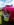 20170708_120700.jpg