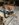 4F29A230-CACB-407B-AA0C-E07F92BD73CA.jpeg