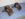 bucket_seat_tabs.jpg