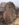 057255CA-F8FD-4A23-A7C5-184DC2FF624A.jpeg