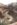 9CB118FF-196A-4C23-8D8E-D37D8334D7EC.jpeg