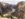 166DA2B3-7D1B-4264-B2FD-9173495941AB.jpeg