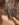 865EBD57-30A6-4E4B-9D0B-FFD7D9327265.jpeg