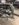 741FF538-07D8-47D9-8C63-5F426D168051.jpeg