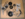 20180313_212936.png