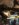 AEB724B0-362A-4D19-B11D-D27A3F0E71F1.jpeg