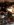 09267AC0-D127-4A9D-8D77-7C1168EA071F.jpeg