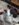 20180316_132349.jpg
