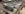 225F0875-3F3F-4FE2-8E7C-1C48FAE8A674.jpeg