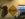 DACFE15B-14A5-434A-B5D0-184D3FA79CB8.jpeg