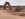 175F58D9-A427-4DD0-876F-727DC494D508.jpeg