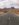 F113A68D-0110-4B9C-8F2C-F202CA70C012.jpeg