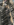 3C1E4633-2823-46DD-AC93-871CB5CB26E7.png