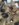 0F6D80B8-65BE-48F5-8DD6-D83A45549932.jpeg
