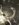 7D476B0C-80B0-41E2-8D7F-D41DDBEE34BE.jpeg