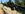 41024.jpeg