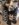 received_10216318118532389.jpeg