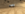 75910DA7-9209-40A7-A59A-AC2F47E60DB1.png