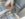 C012DED6-F438-4A38-9F2E-50F979DA9365.jpeg