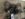 2C267AA0-07EF-4026-A4C3-E13BC1FBAD2A.jpeg