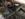 7413BBCF-9CF5-4158-BD0C-93AD82839CC9.jpeg