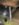 A91E6F9B-3FA2-47F7-9422-A69C53973BAE.jpeg