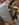 41EE2EC6-BC23-4EA1-ADE2-650069D1A0EE.jpeg
