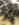 E3FC1E89-99A5-4319-A559-2A4FA43FB253.jpeg