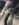877C67D2-169A-4FB6-B283-9B4AD03987D9.jpeg
