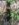 98256BEB-928E-4F8E-96CA-CEA34278E147.jpeg
