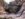 FC981B00-D7DD-4961-9400-A20767DC342E.jpeg