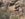 63ED3561-6796-4479-85EF-462281A96CA5.jpeg
