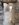 27412CAE-7C84-42F9-B49C-2405334E0118.jpeg