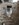 D8D096ED-4F5A-40F4-AD00-15592D50D032.jpeg