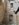 E8A9A0C2-AFC0-486F-B3B2-A290E8F76E8F.jpeg
