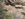 F46DD5B4-7CD1-4CDD-8F00-67B9962CF9DC.jpeg