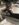 856E1AB4-FADD-410C-A1F1-704E959F6BD1.jpeg