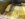 C1136FC6-F42A-47FB-8DAF-C02F2BC59389.jpeg