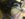 1219EAEE-67AD-41E7-8A2D-5B2C53809CD3.jpeg