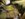 9EB8DC15-56EC-4BCC-AA6A-169A454A72B0.jpeg