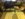 C550C914-280E-4006-941B-DDACF8BA5250.jpeg