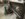 4EBBA2E8-F72E-4E12-8C5E-1FDA71BC502C.jpeg