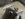 FE2C3FB9-A40A-47CC-9F22-28F0ECCB364C.jpeg