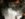 BD74980E-700B-4585-8981-92BE79E4262A.jpeg